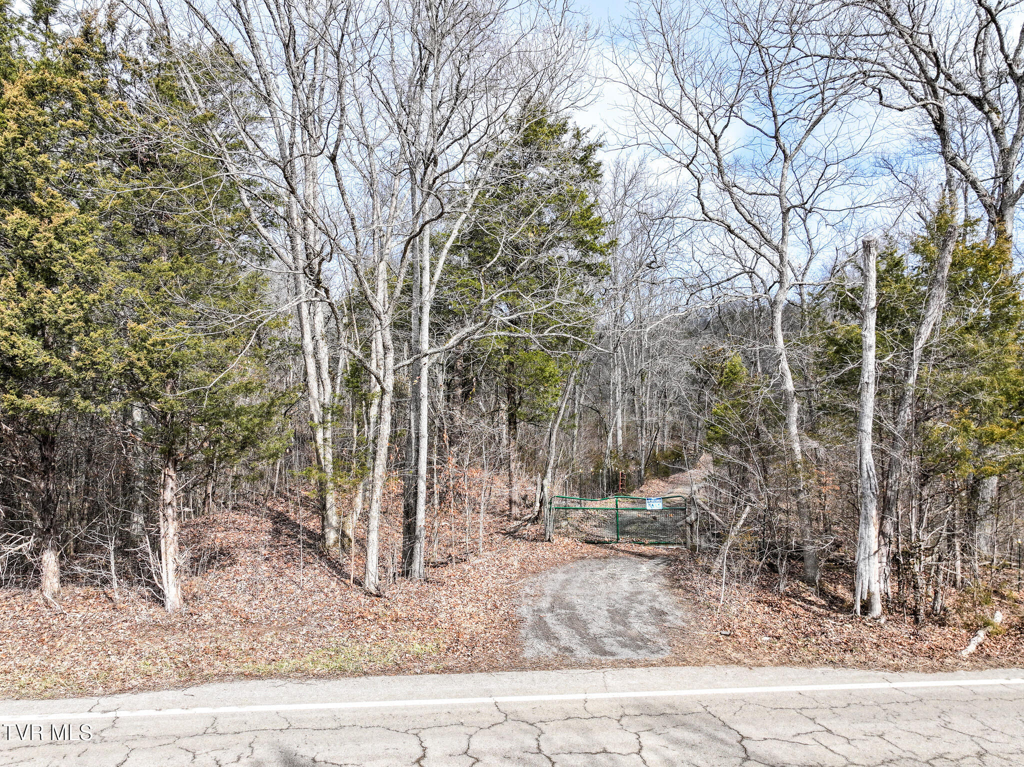 13.94-acre Fish Hatchery Road, Unit P/O 38 Mohawk, TN 37810 - Photo 8 of 49 8