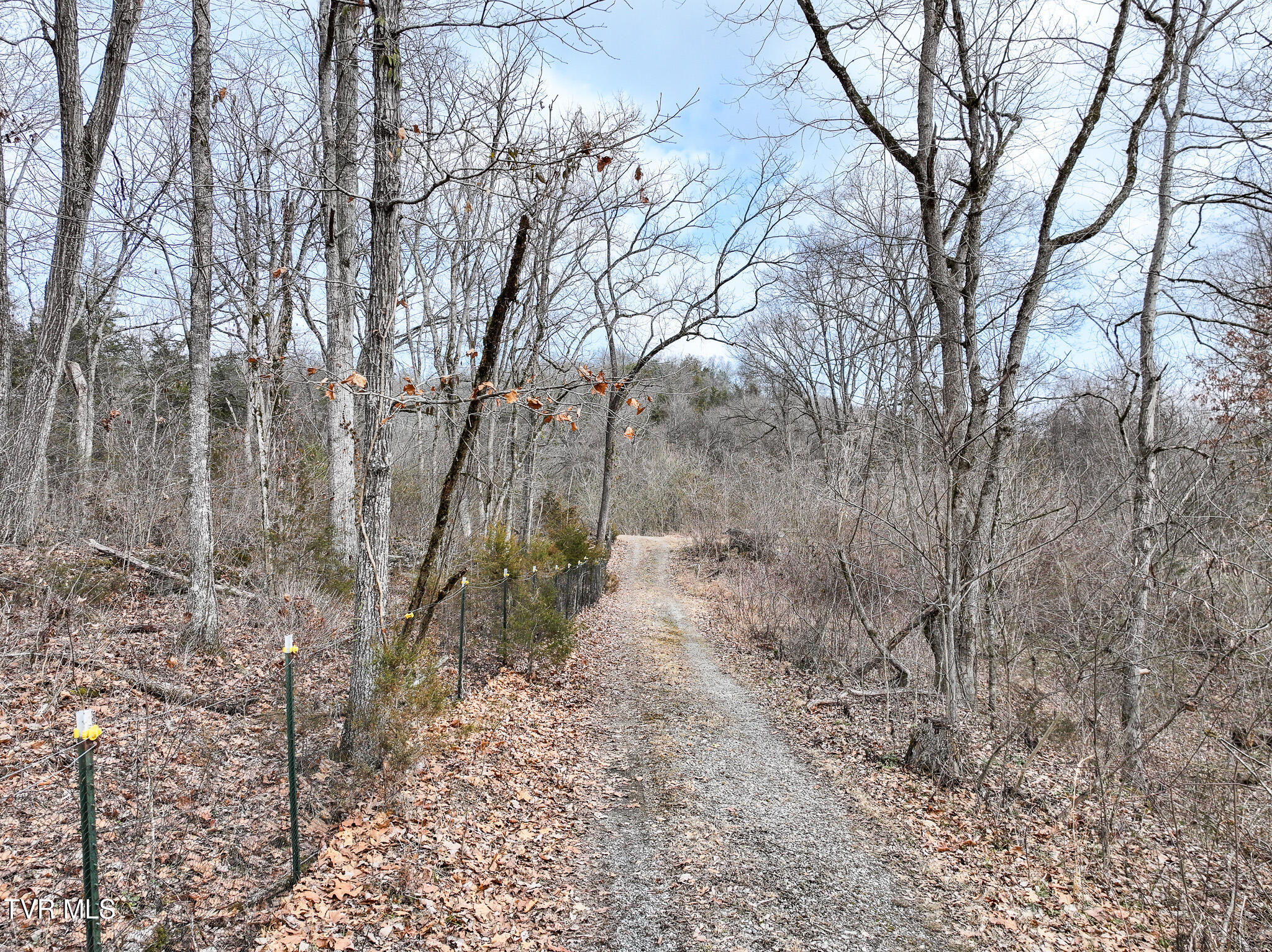 13.94-acre Fish Hatchery Road, Unit P/O 38 Mohawk, TN 37810 - Photo 10 of 49 10