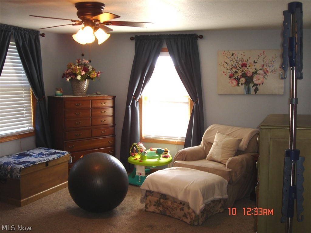 6039 St Jacobs Logtown Road Lisbon, OH 44432 - Photo 22 of 29 Gallery Image 22