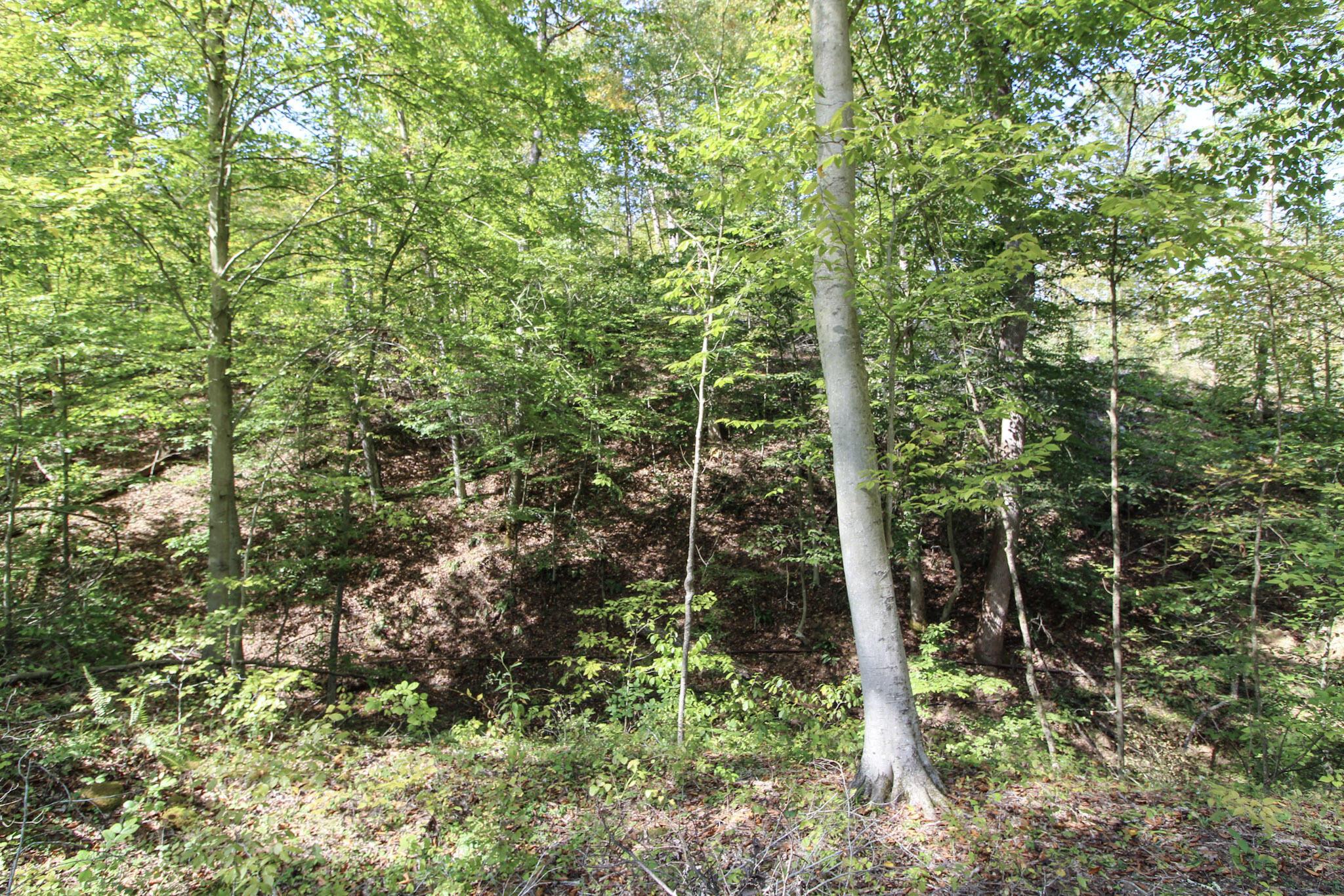 0 Cow Run Road Marietta, OH 45750 - Photo 12 of 17 13-IMG_9107
