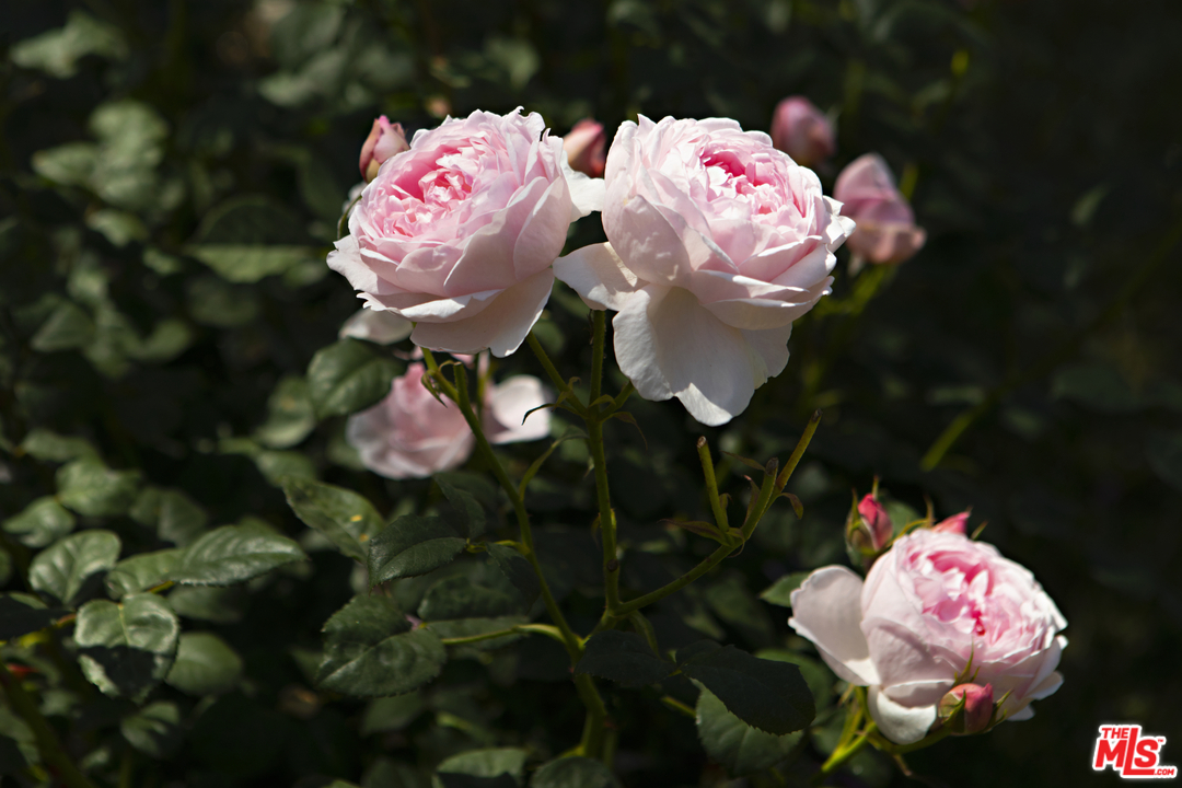 14100 Rustic Lane Pacific Palisades, CA 90272 - Photo 41 of 46 a pink umbrella in front of the house