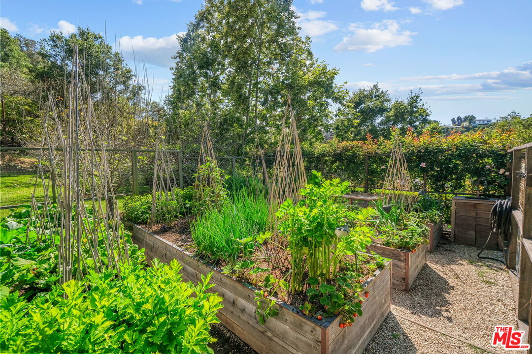 14100 Rustic Lane Pacific Palisades, CA 90272 - Photo 42 of 46 a view of a garden with plants and a bench