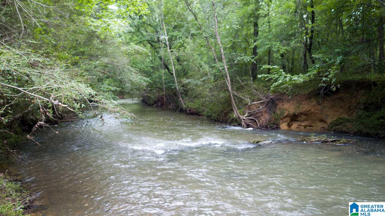 180 Gibson Road, Unit 76 / ACRES OFF GIBSON R Columbiana, AL 35051 - Photo 22 of 50