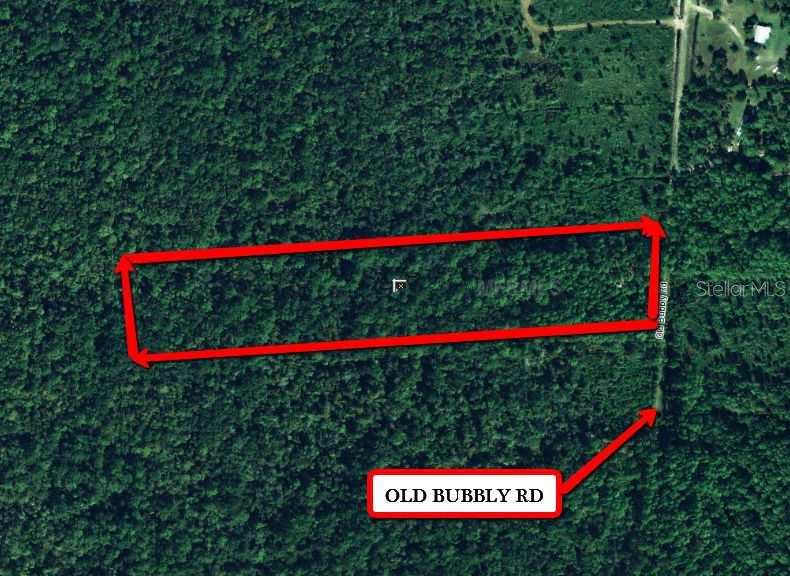 Exterior Front - 10+ acres of wooded adventure!