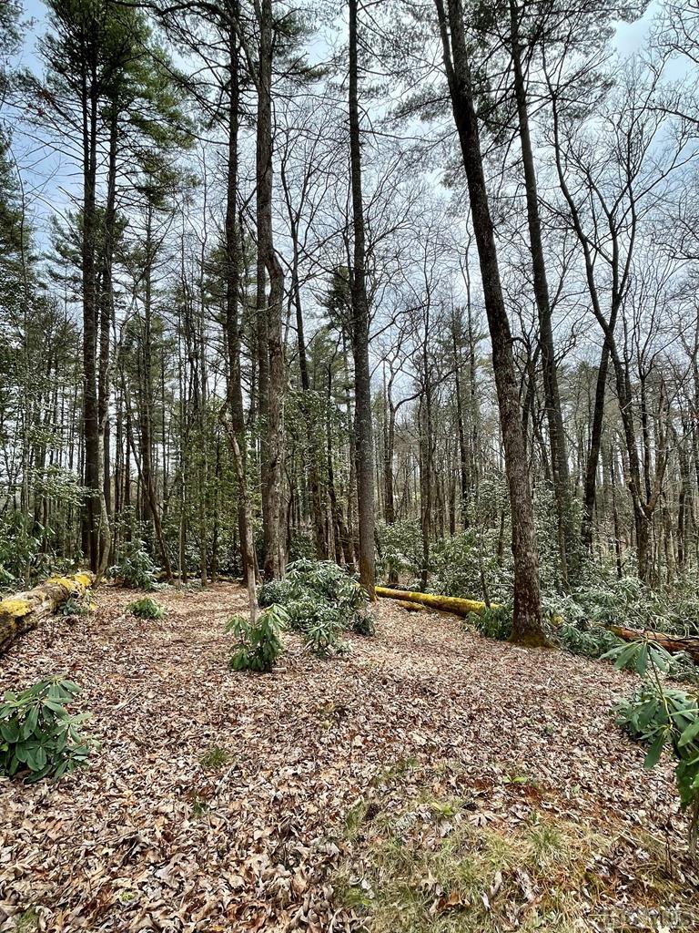 16 Flagstone Road Sapphire, NC 28774 - Photo 2 of 5 Gallery Image 2