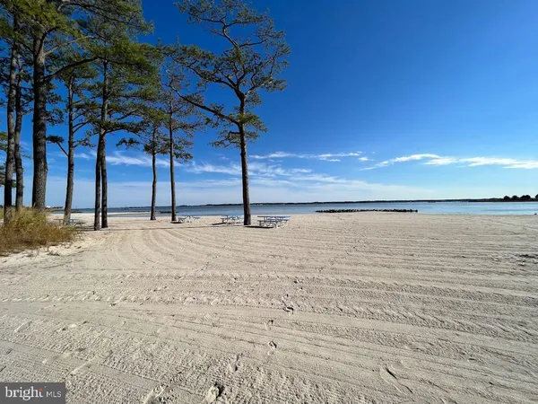 a view of a lake with houses in the back