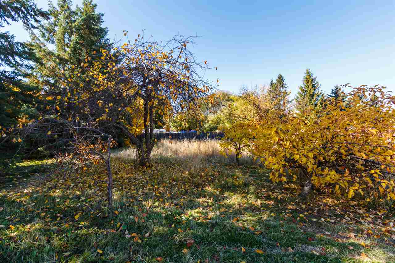 419 North Locust Road Spokane Valley, WA 99206 - Photo 10 of 20