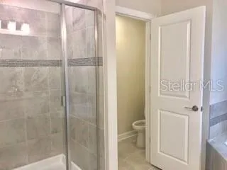 a bathroom with a shower and a toilet