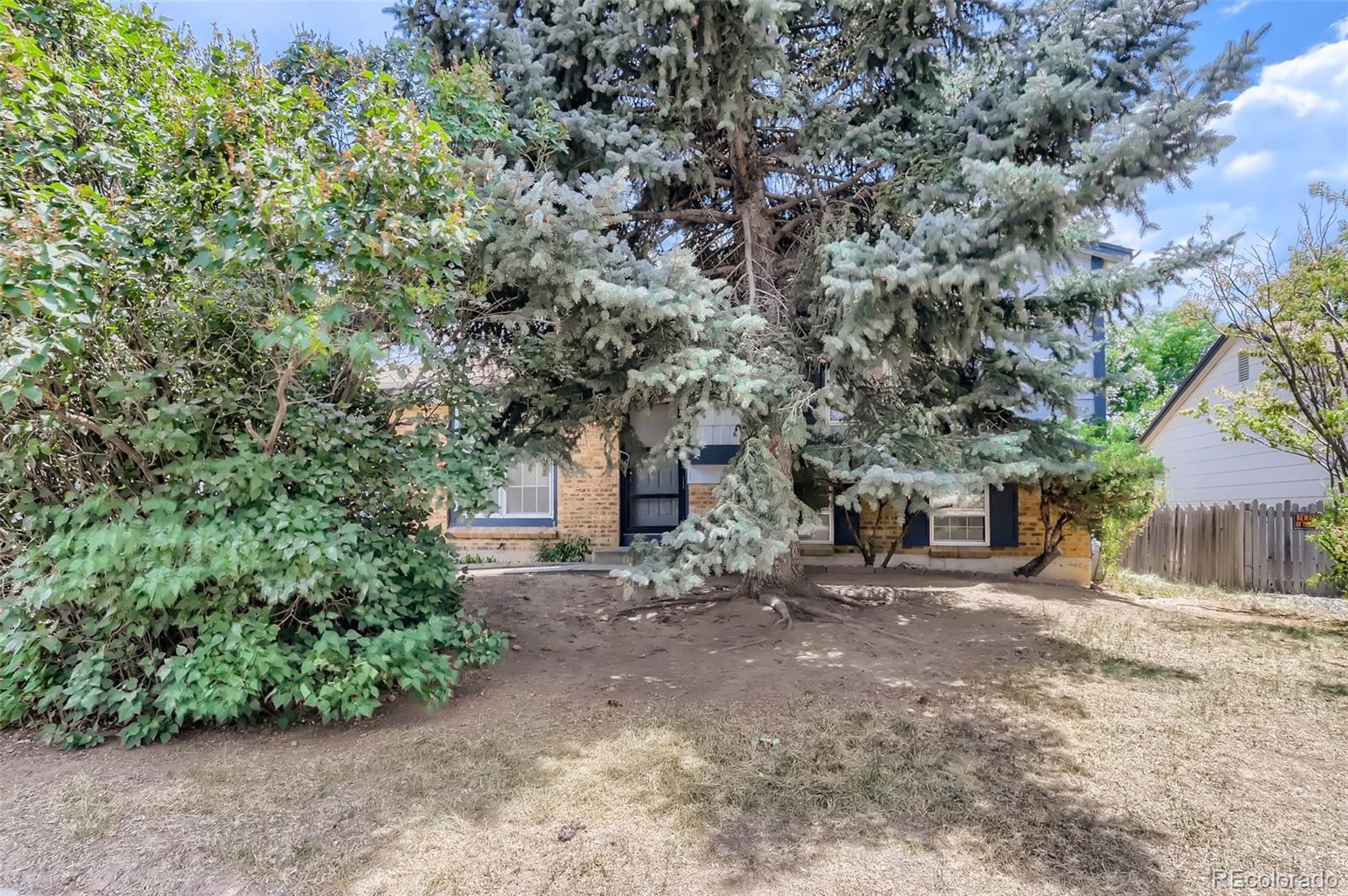 216 Summit Circle Lafayette, CO 80026 - Photo 2 of 31 a view of a outdoor space with a tree