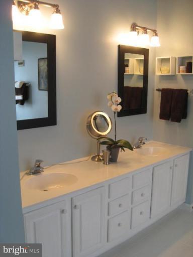 2456 Arctic Fox Way Reston, VA 20191 - Photo 12 of 26 Master Bath #2
