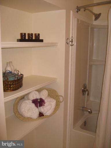 2456 Arctic Fox Way Reston, VA 20191 - Photo 13 of 26 Basement Shower