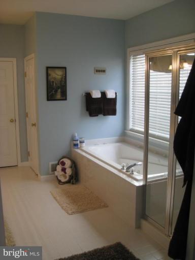 2456 Arctic Fox Way Reston, VA 20191 - Photo 18 of 26 Master Bath