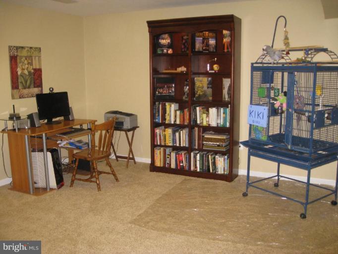 2456 Arctic Fox Way Reston, VA 20191 - Photo 21 of 26 Recreation Room #2