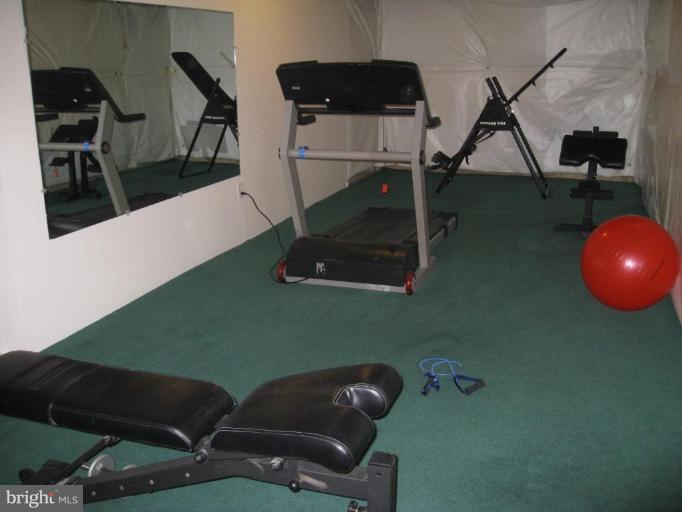 2456 Arctic Fox Way Reston, VA 20191 - Photo 22 of 26 Exercise Room