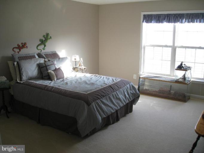 2456 Arctic Fox Way Reston, VA 20191 - Photo 5 of 26 Bedroom #4