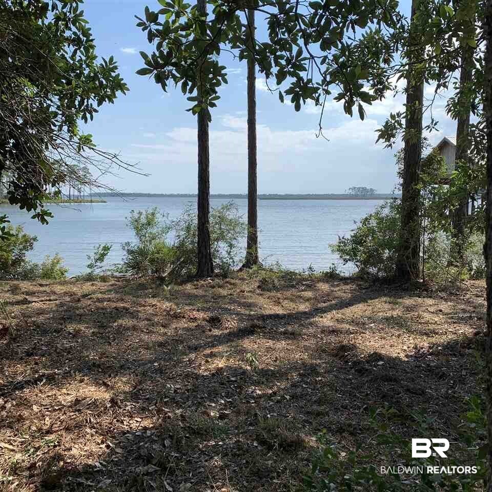 Yucatan Drive Elberta, AL 36530 - Photo 12 of 15