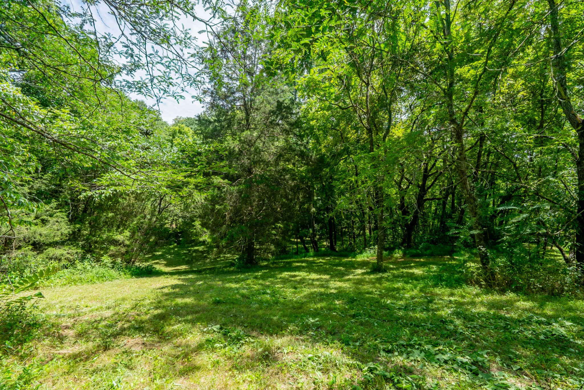 0 Bethlehem Road Springfield, TN 37172 - Photo 26 of 41 Gallery Image 26