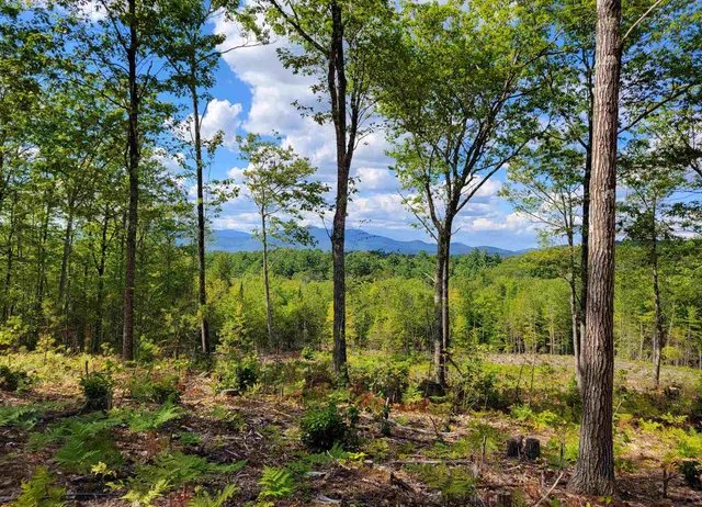 $175,000 | 238-1-1.3 Maple Grove Road, Madison, NH 03849