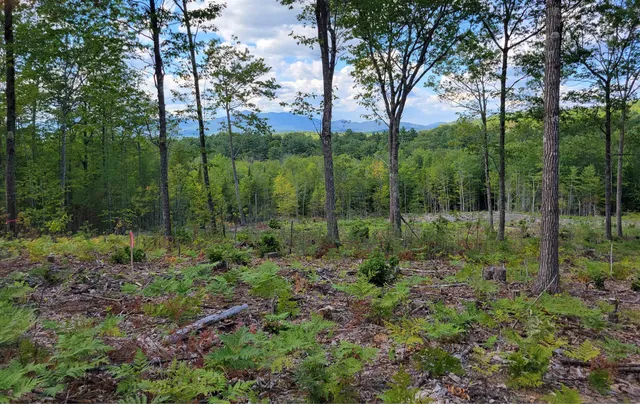 $175,000 | 238-1-1.3 Maple Grove Road, Madison, NH 03849