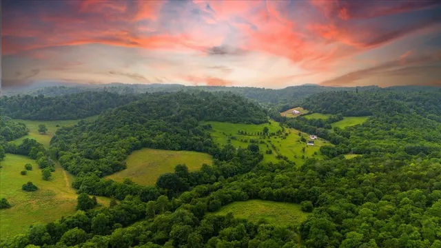 an aerial view of residential house with outdoor space and trees all around