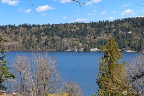 a view of a yard with an outdoor space