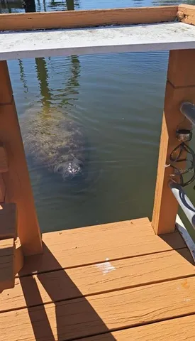 $3,000 | 7619 Hatteras Drive, Hudson, FL 34667