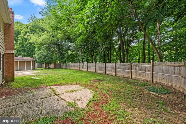 a view of a backyard with a trees