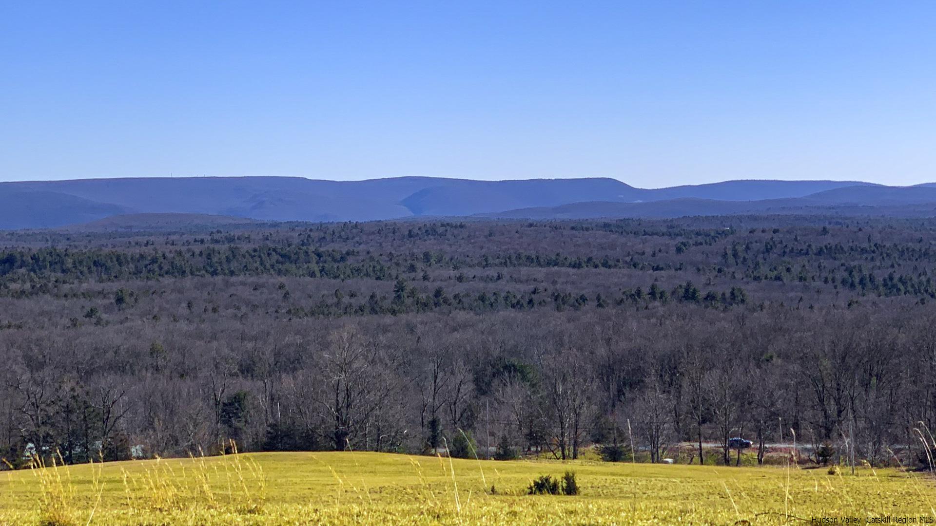 17 Red Rock Road, Napanoch, NY 12489 Compass