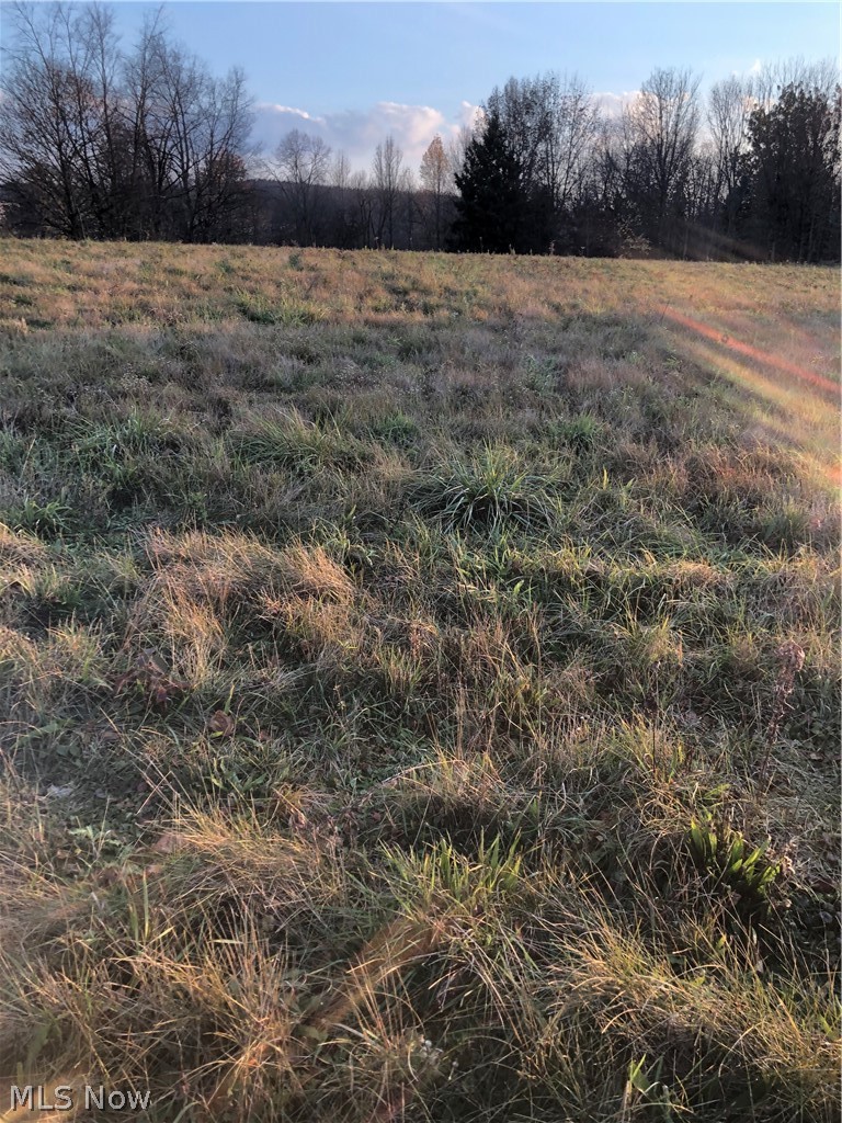 Seville Road, Unit 1 Wadsworth, OH 44281 - Photo 1 of 3 Gallery Image 1