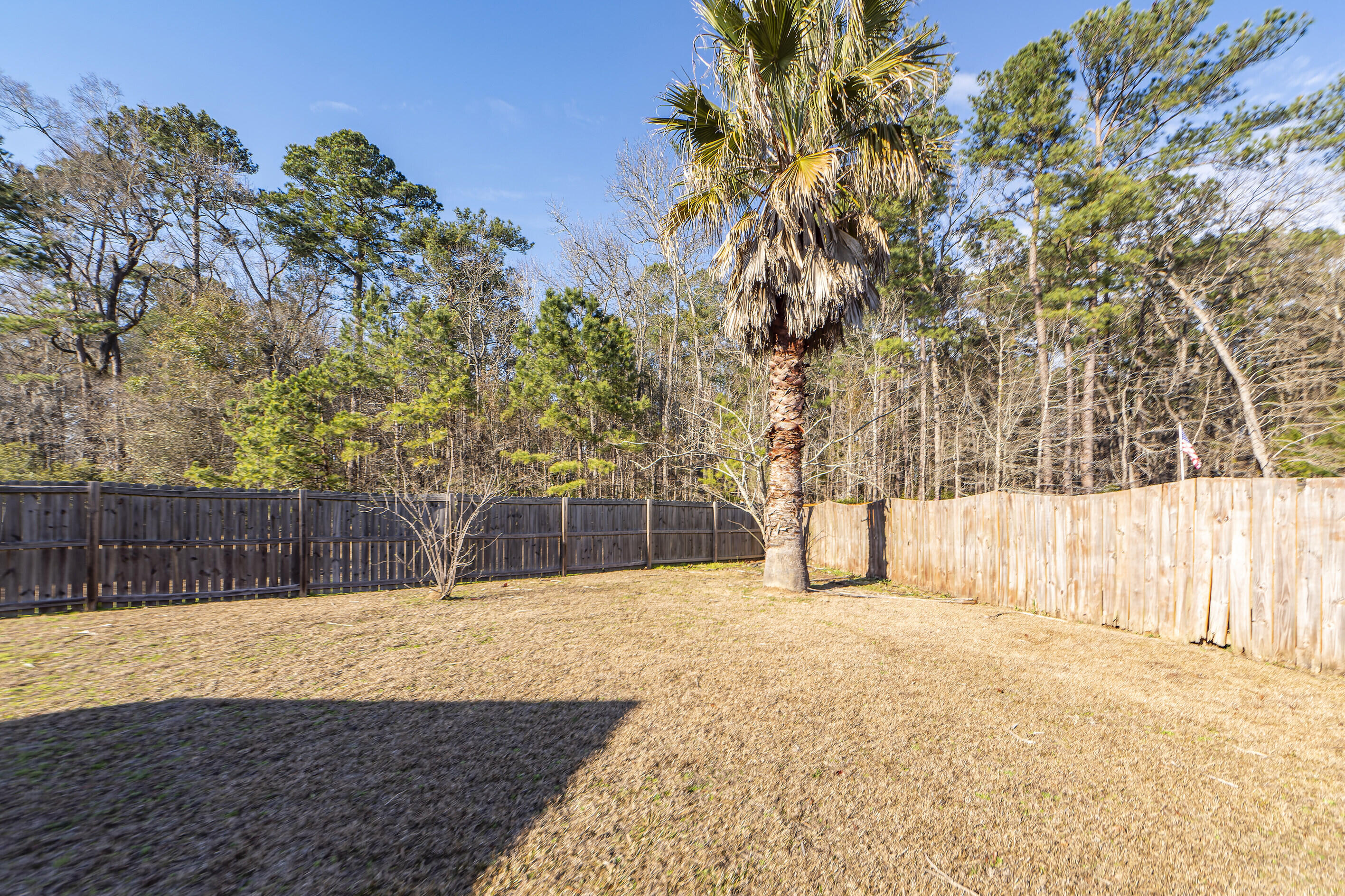 248 Border Road Goose Creek, SC 29445 - Photo 26 of 29 020224 (41)