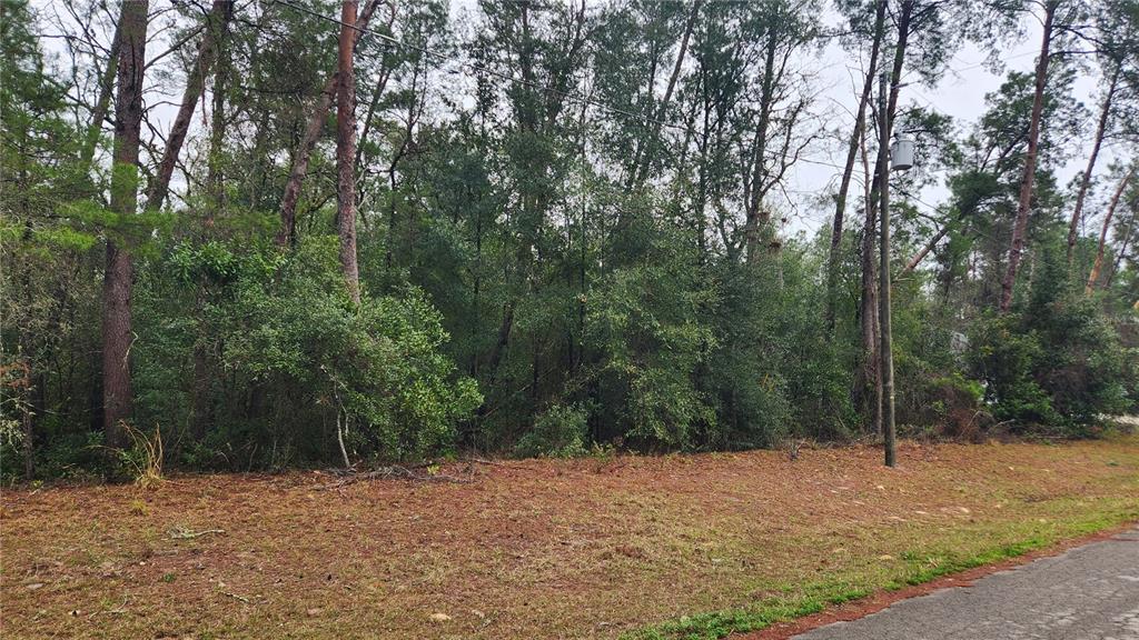 Locust Course Radiel Ocala, FL 34472 - Photo 2 of 3 a pathway of a yard