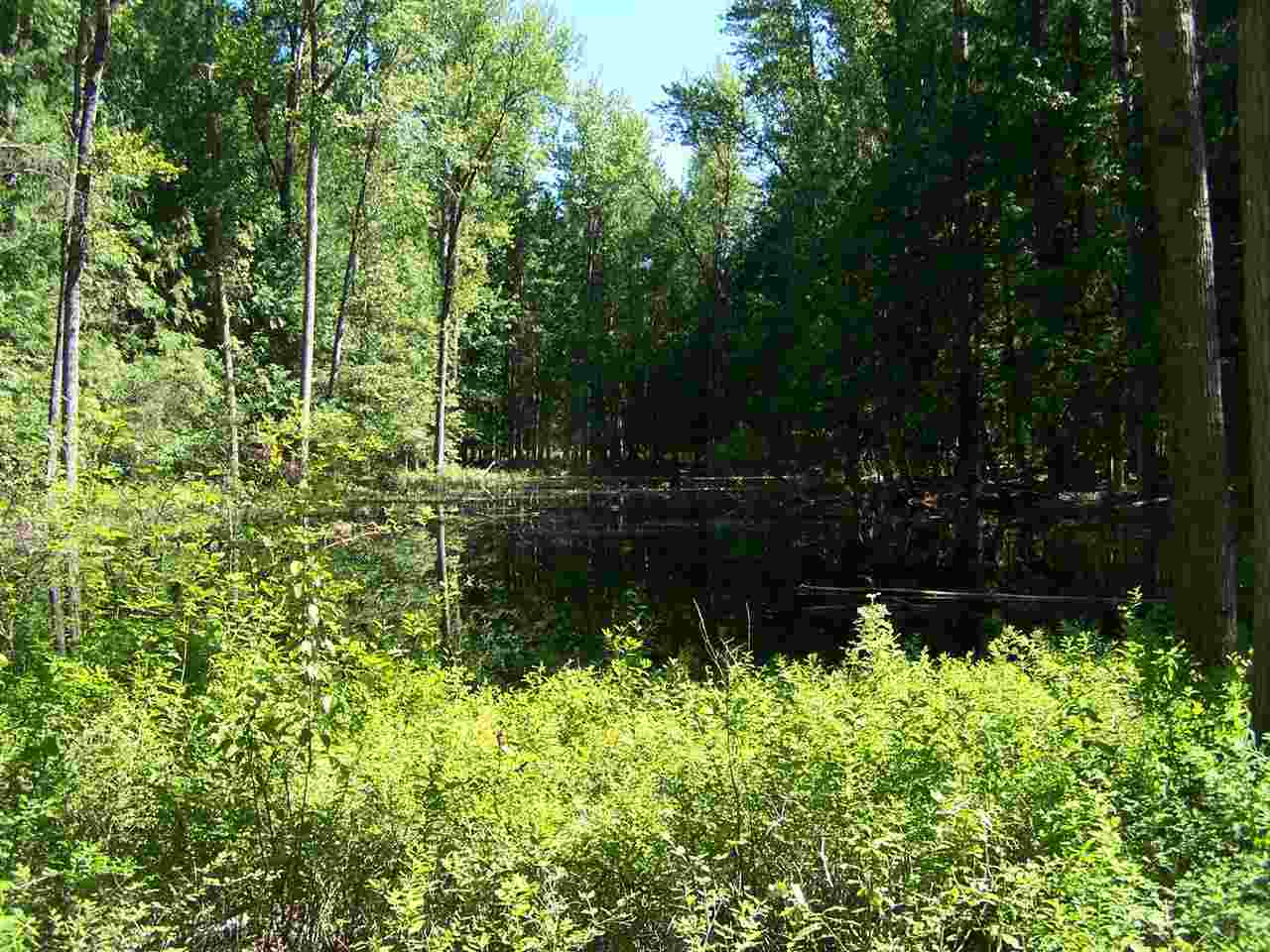 30671 LeClerc Road North Ione, WA 99139 - Photo 15 of 20