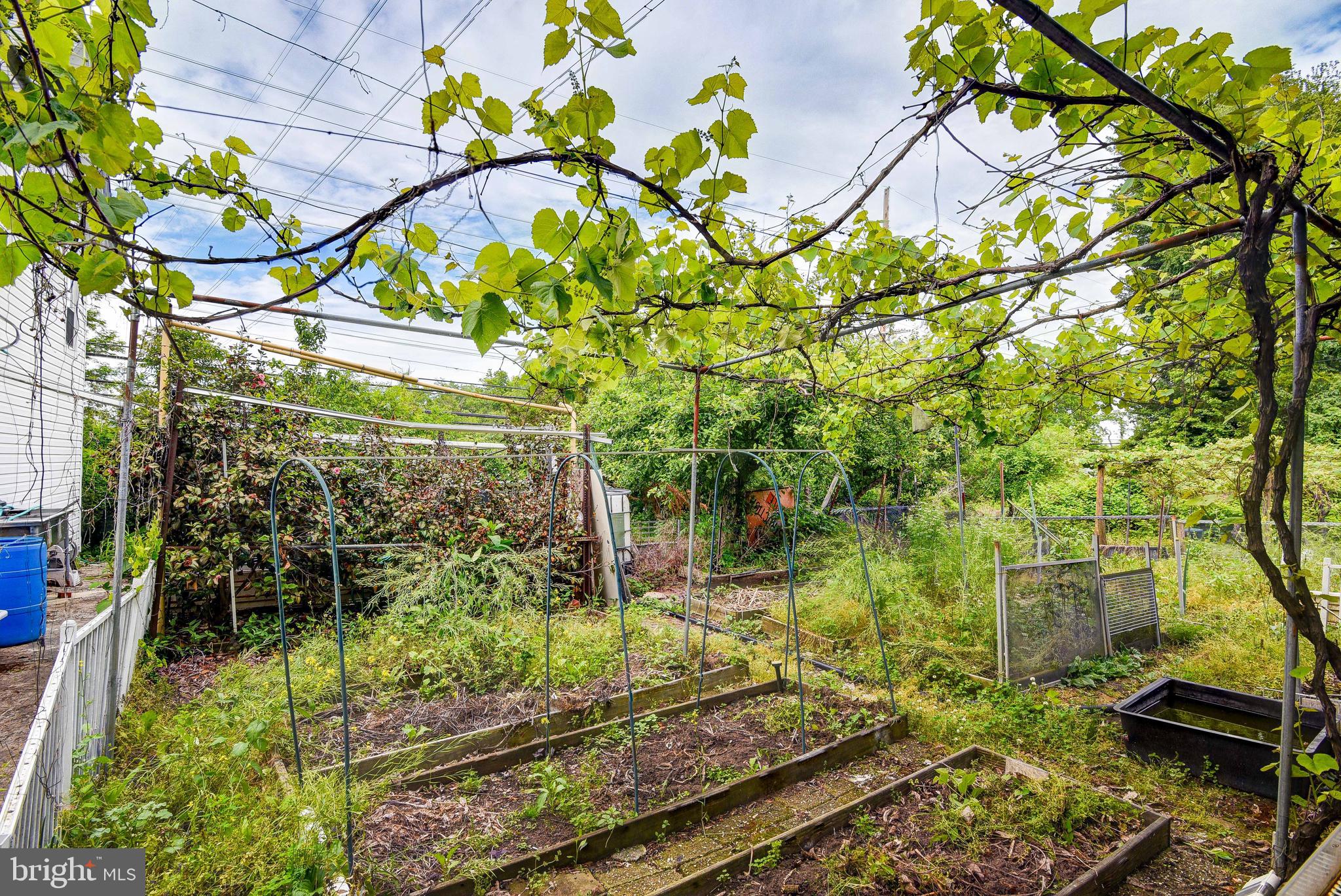 362 Etra Road Hightstown, NJ 08520 - Photo 17 of 18