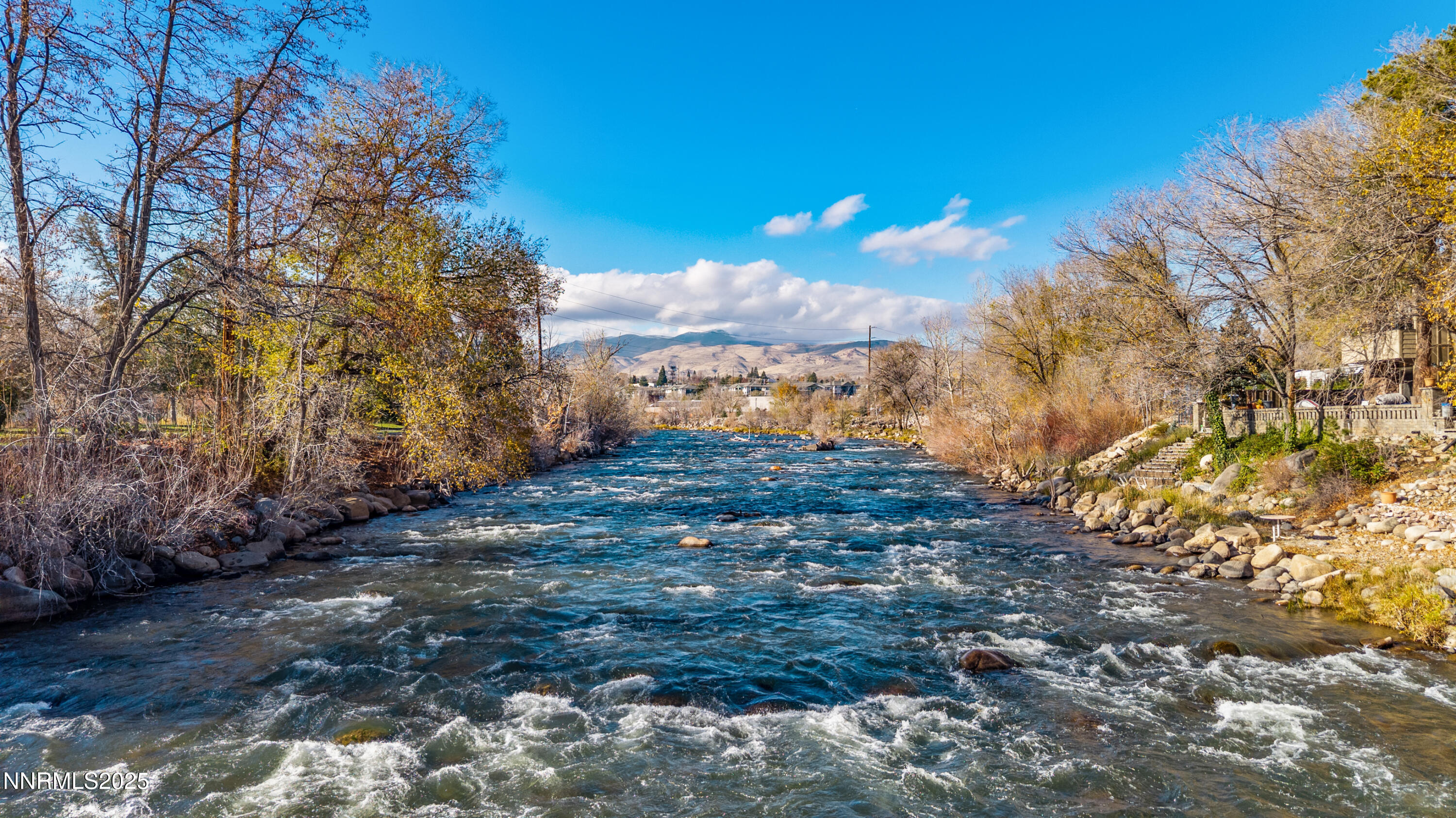 1340 Jones Street Reno, NV 89503 - Photo 3 of 58 a view of a yard with a tree