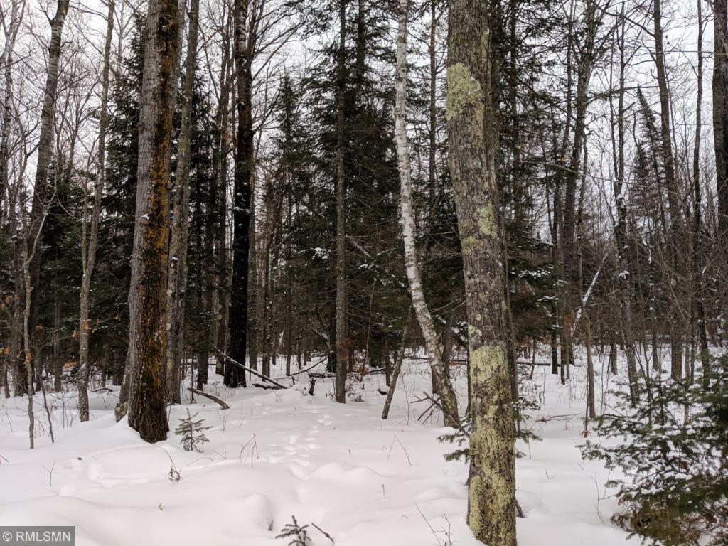 Xxx Gunderson Road Moose Lake, MN 55767 - Photo 1 of 1 Gallery Image 1