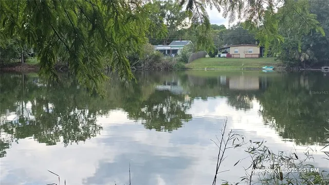 a view of a lake with a large trees