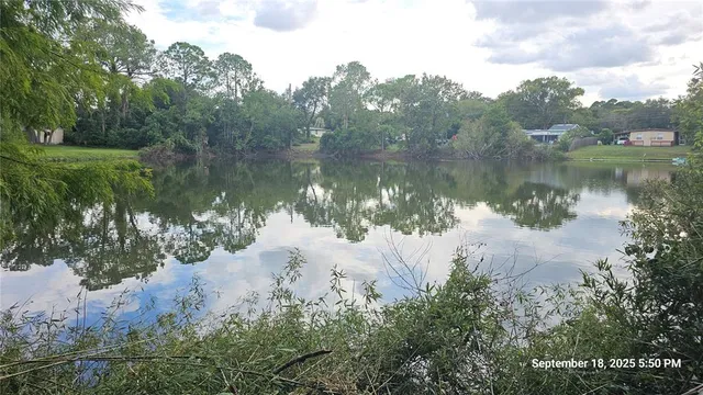 a body of water with a tree in the background