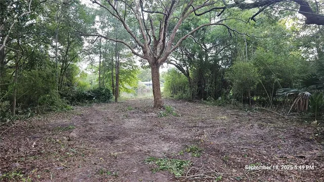 a view of outdoor space and green space