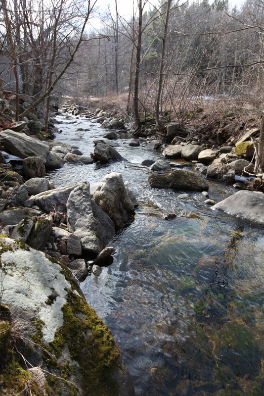 RIght on the Buck River!