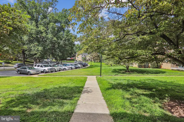 a view of a park with large trees