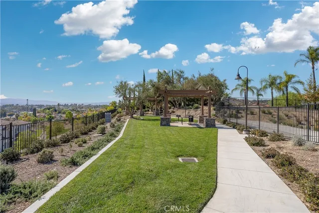 a view of a yard with large tree