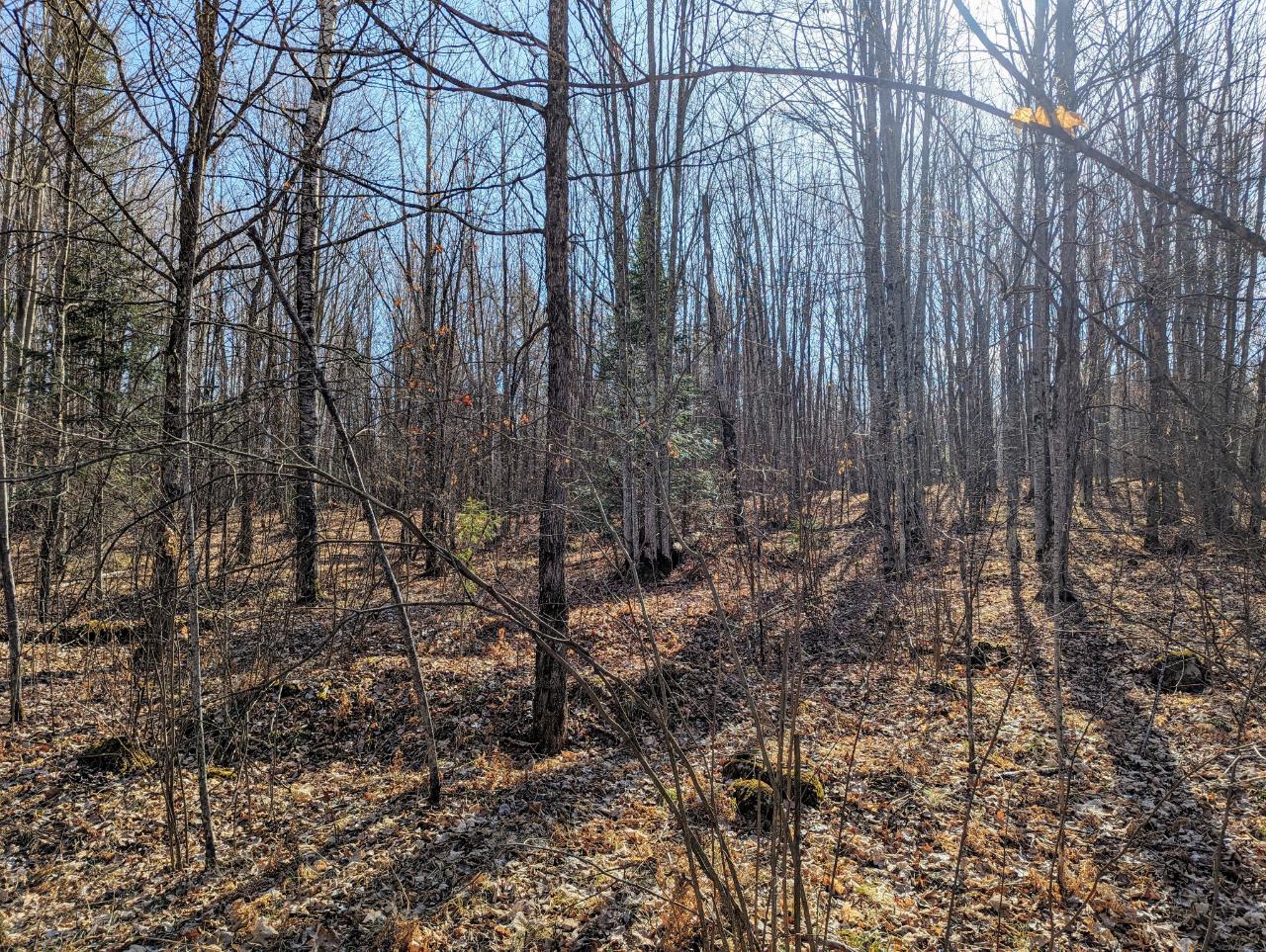 On Holy Cross Road Phillips, WI 54555 - Photo 12 of 20 Gallery Image 12