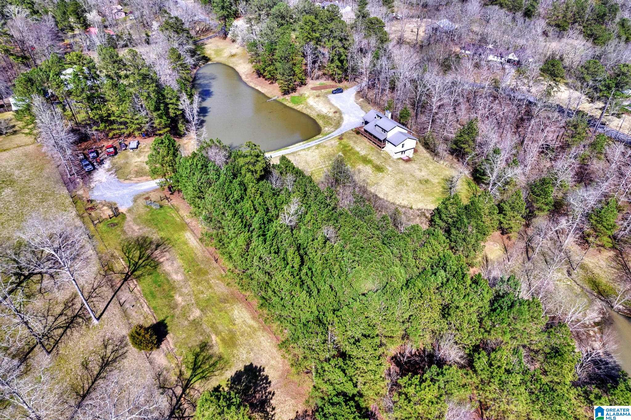 175 Skyview Trail Trafford, AL 35172 - Photo 45 of 50