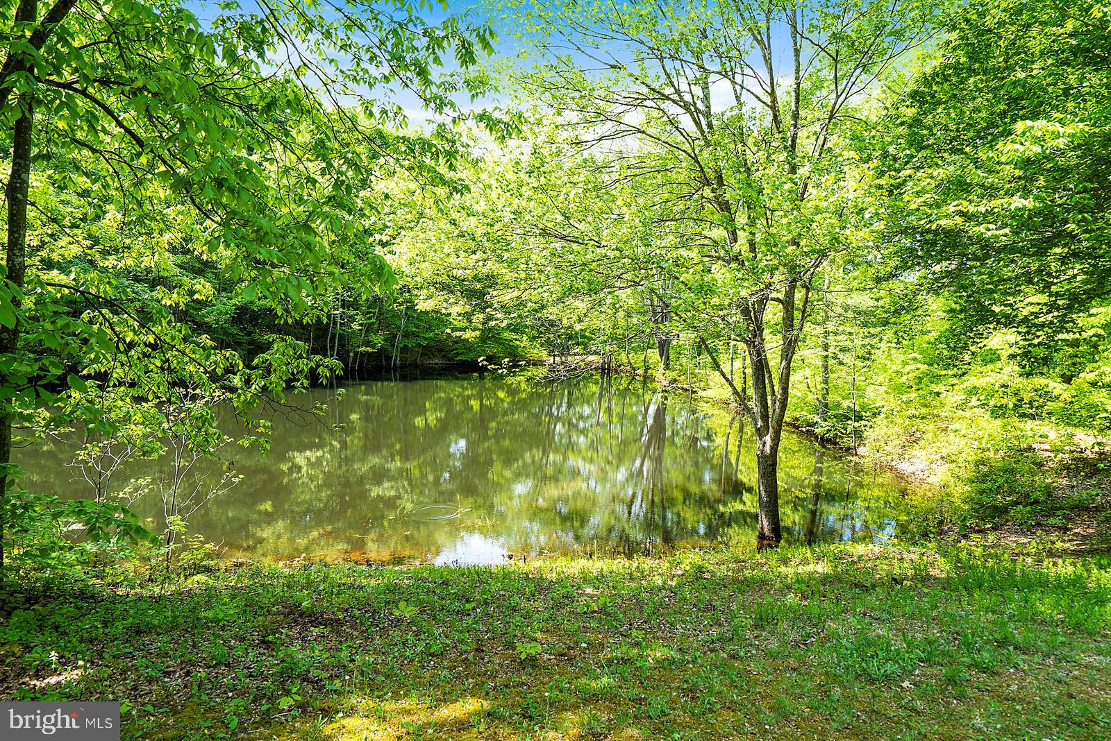 4638 Razor Hill Road Bealeton, VA 22712 - Photo 40 of 46 Gallery Image 40