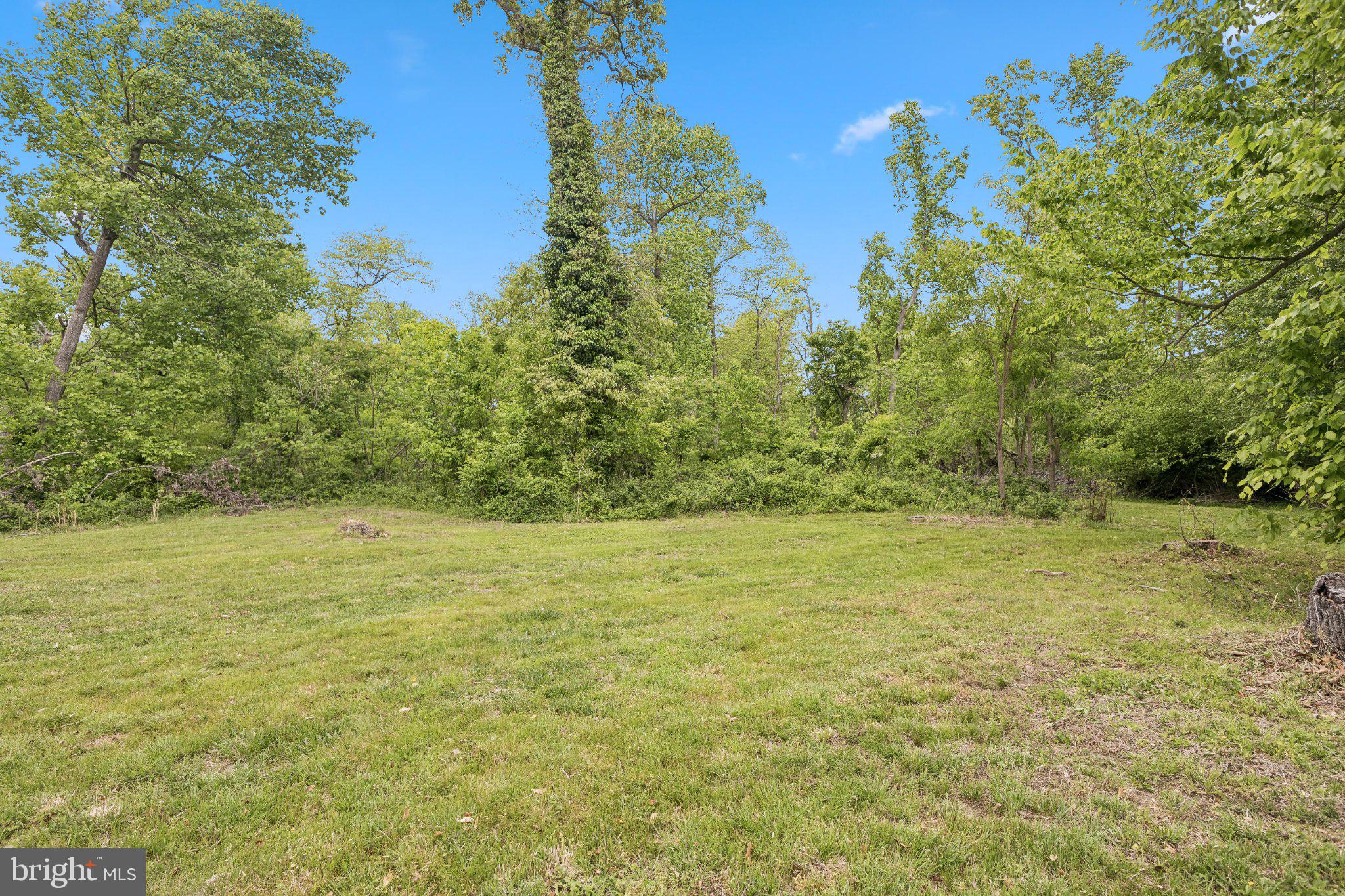 9816 Fairlee Road Chestertown, MD 21620 - Photo 43 of 48 Relax on your property and enjoy the peace