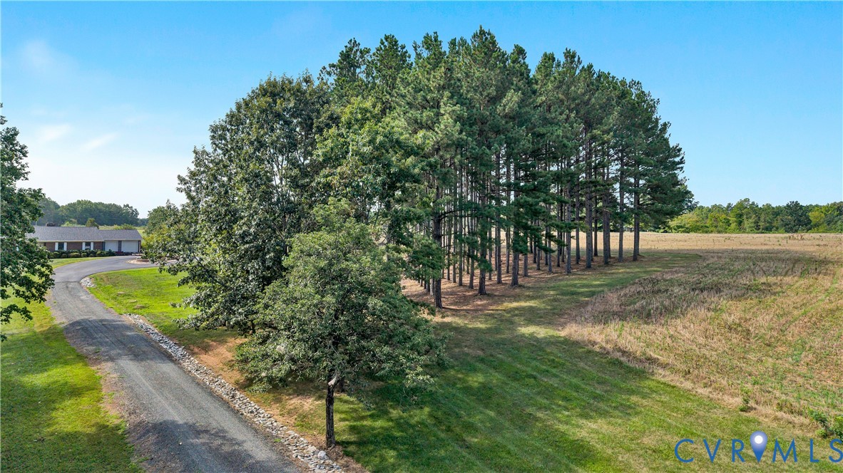 258 Willow Oak Road Appomattox, VA 24522 - Photo 47 of 50 Gallery Image 47