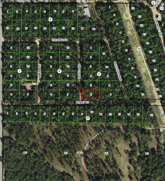 306 Little Avenue Inverness, FL 34452 - Photo 3 of 3