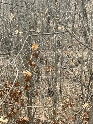 $15,000 | 0 Wilson Street, Coloma, MI 49038