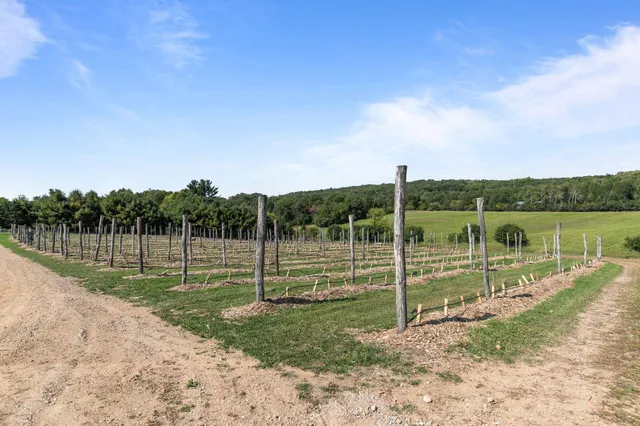 $1,500,000 | E1256 Johnson Road, Iola, WI 54945