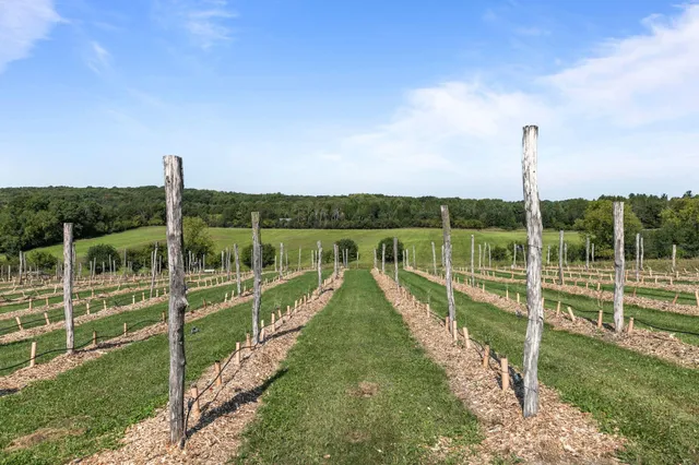 $1,500,000 | E1256 Johnson Road, Iola, WI 54945